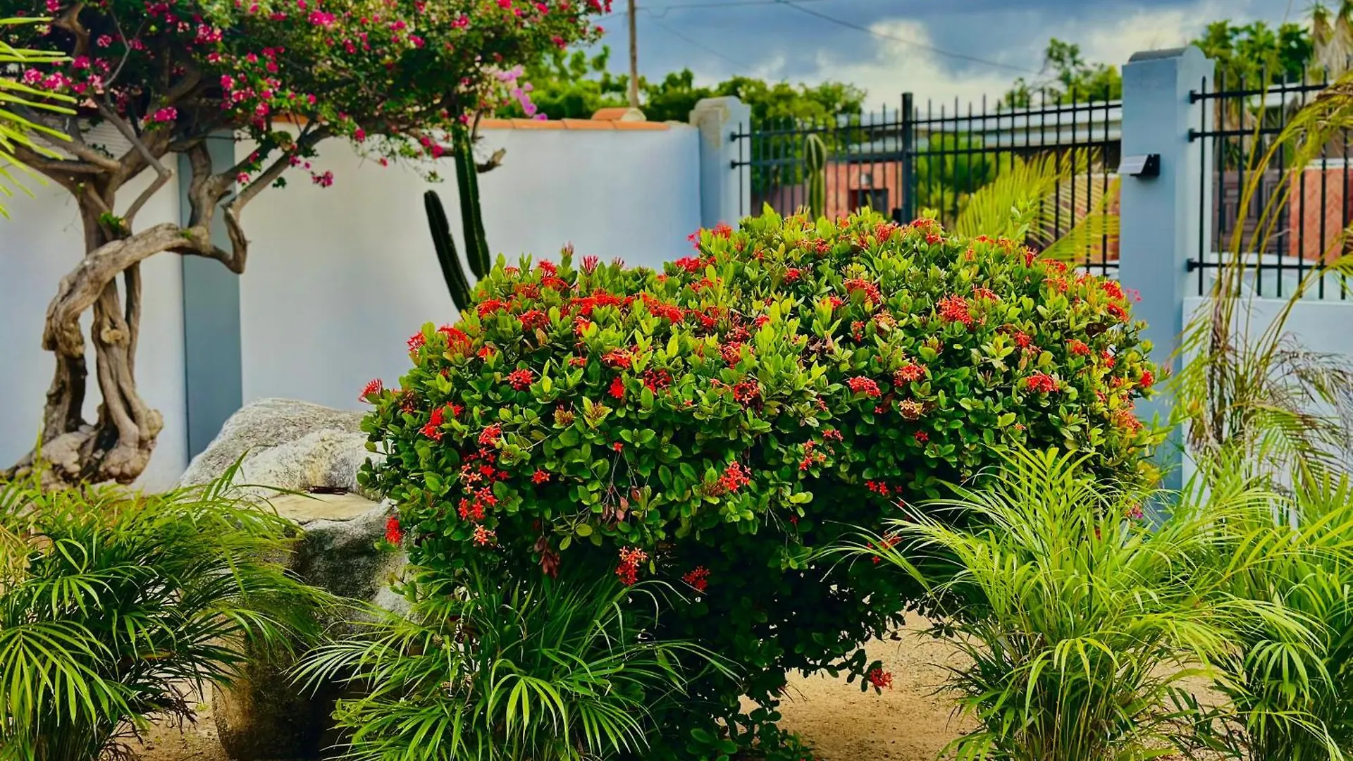 Eagle Stays Aruba-New Stunning One Bedroom Apartment Near Eagle Beach! オラニエスタッド
