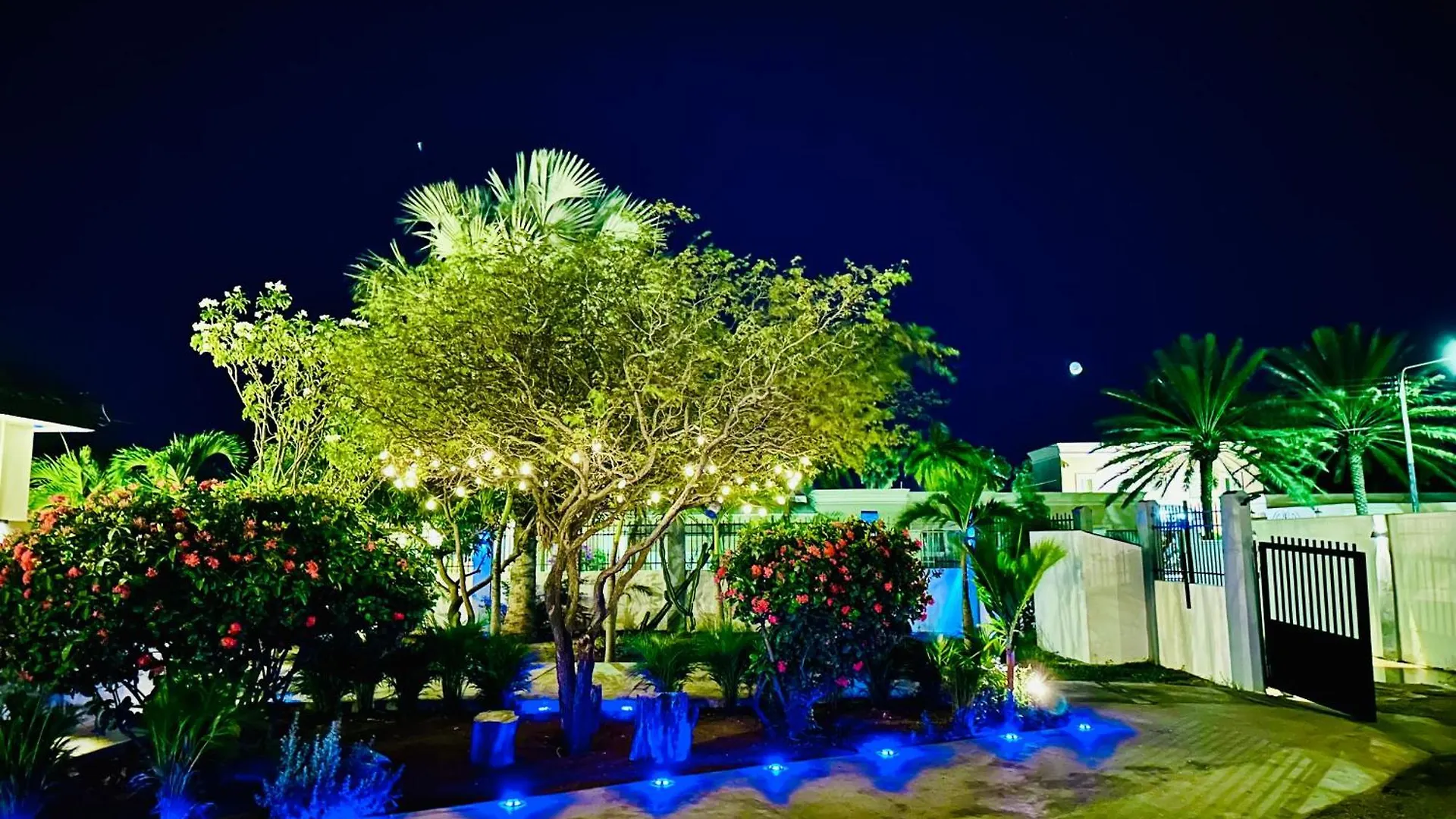 Eagle Stays Aruba-New Stunning One Bedroom Apartment Near Eagle Beach! オラニエスタッド 0*,