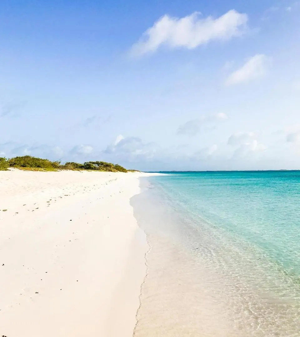 Eagle Stays Aruba-New Stunning One Bedroom Apartment Near Eagle Beach! オラニエスタッド アルバ