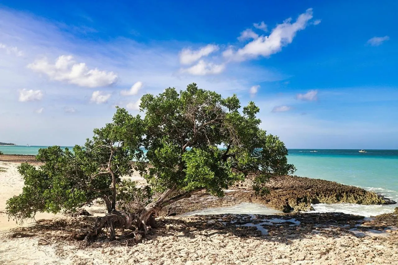 Eagle Stays Aruba-New Stunning One Bedroom Apartment Near Eagle Beach! オラニエスタッド アルバ