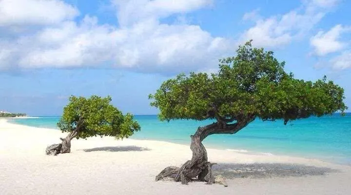 Eagle Stays Aruba-New Stunning One Bedroom Apartment Near Eagle Beach! オラニエスタッド