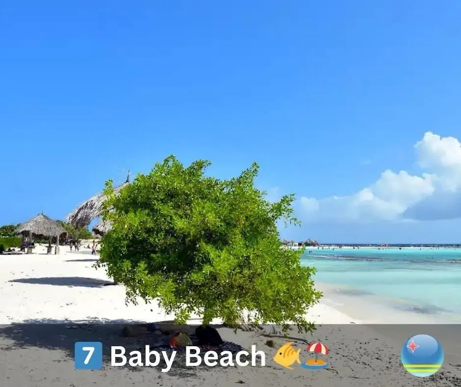 Eagle Stays Aruba-New Stunning One Bedroom Apartment Near Eagle Beach! オラニエスタッド 0*,